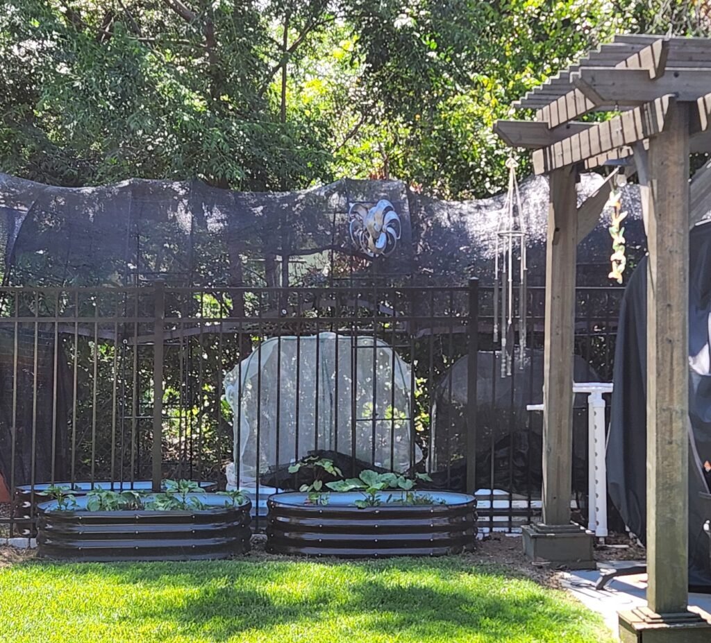 G2 Homestead backyard garden in Canton, Texas